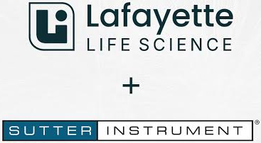 Lafayette